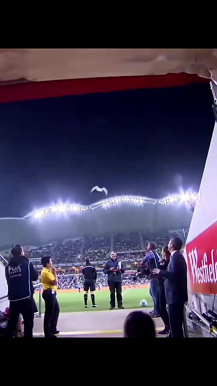 足球赛场上发生的惊喜瞬间令人感动的简单介绍