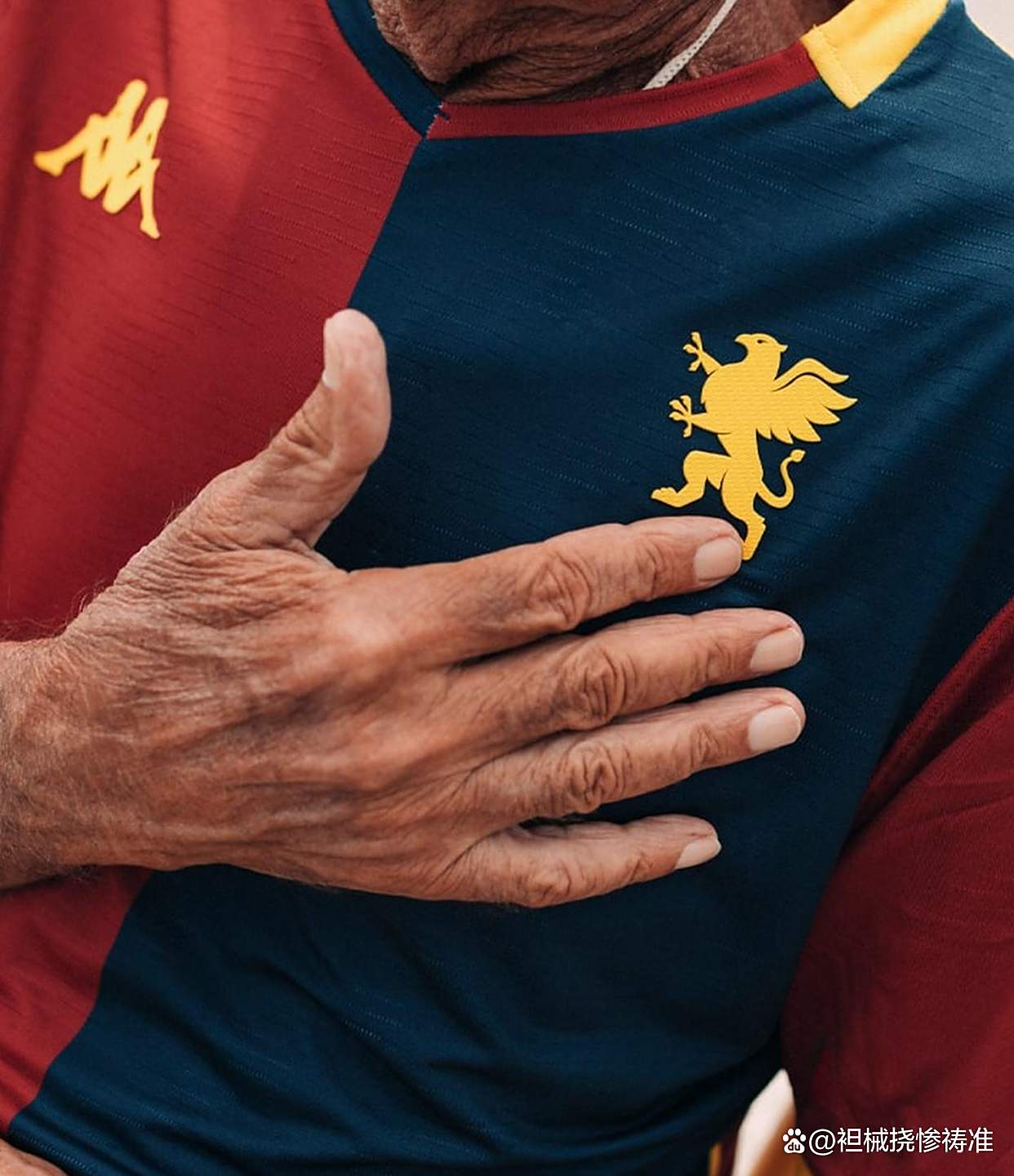 热那亚主场告捷，球迷热议胜利信心的简单介绍