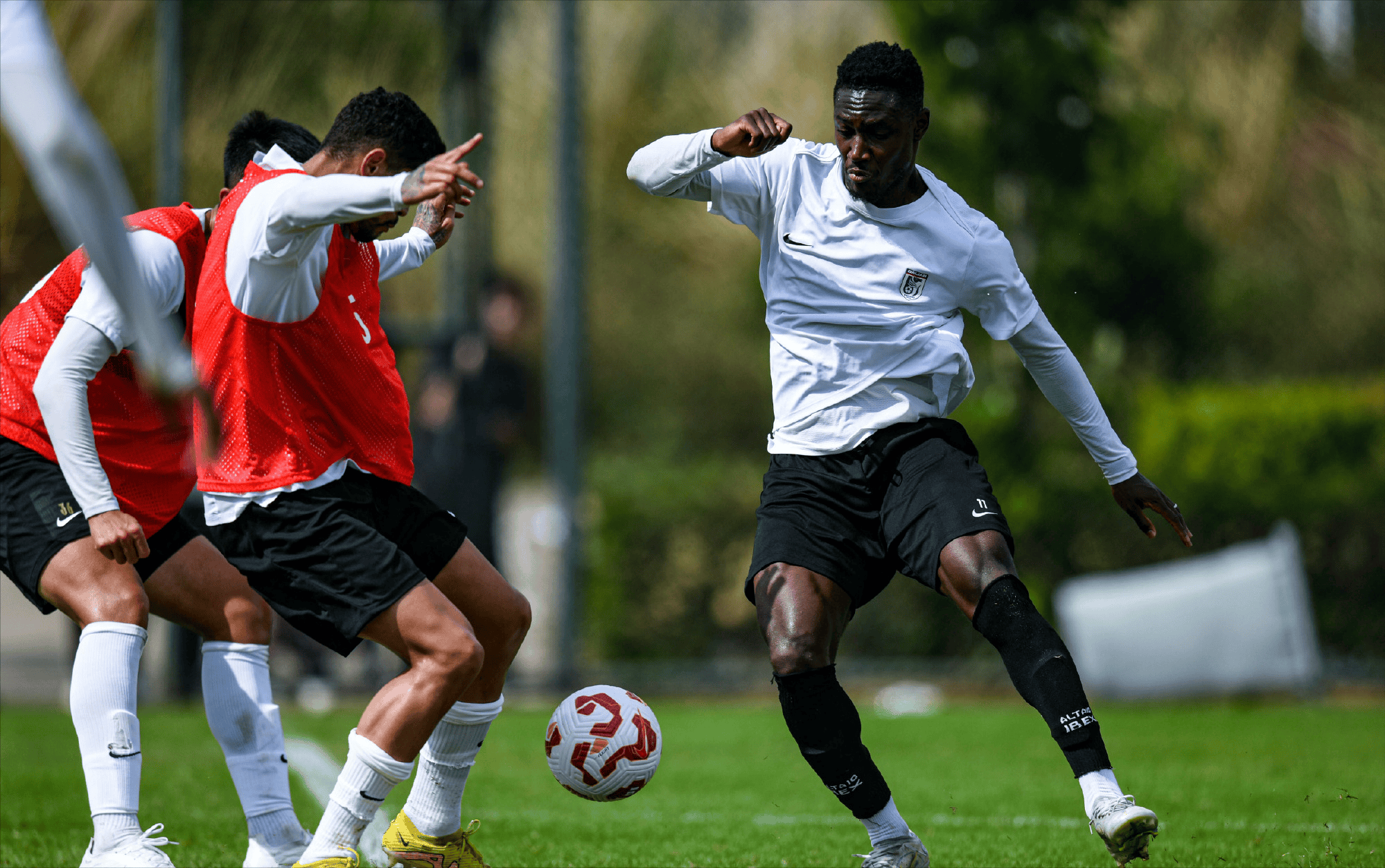 包含新锐球员火力全开，帮助球队实现逆转胜利的词条