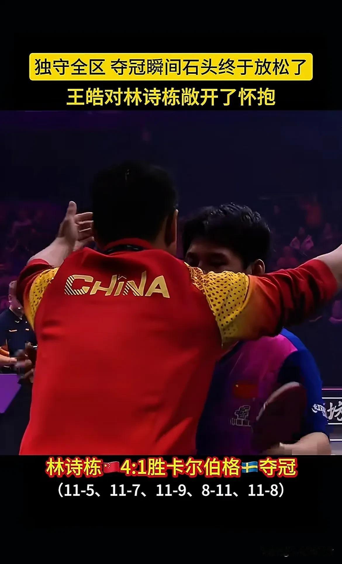 德国乒乓球队绝地反击日本乒乓球队，王皓惊艳世界的简单介绍