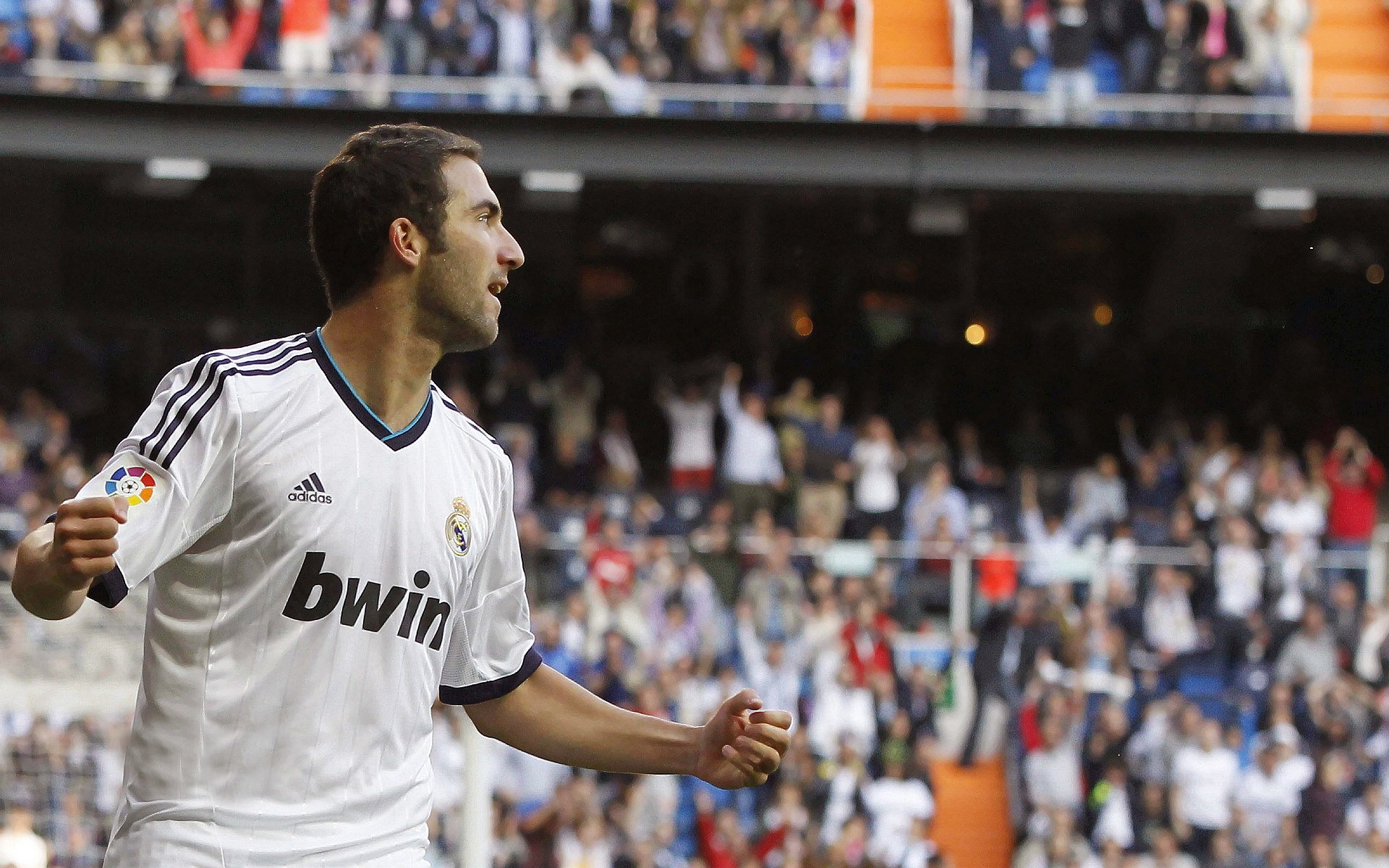 横扫波兰，樊振东状态火热预示国乒新篇章